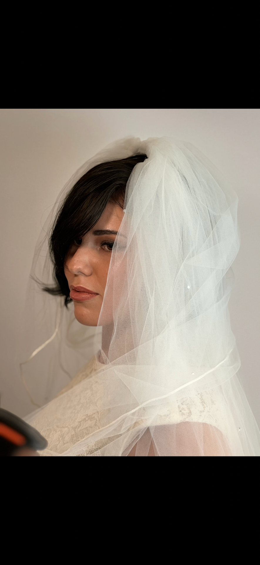 Ethereal bridal portrait in veil